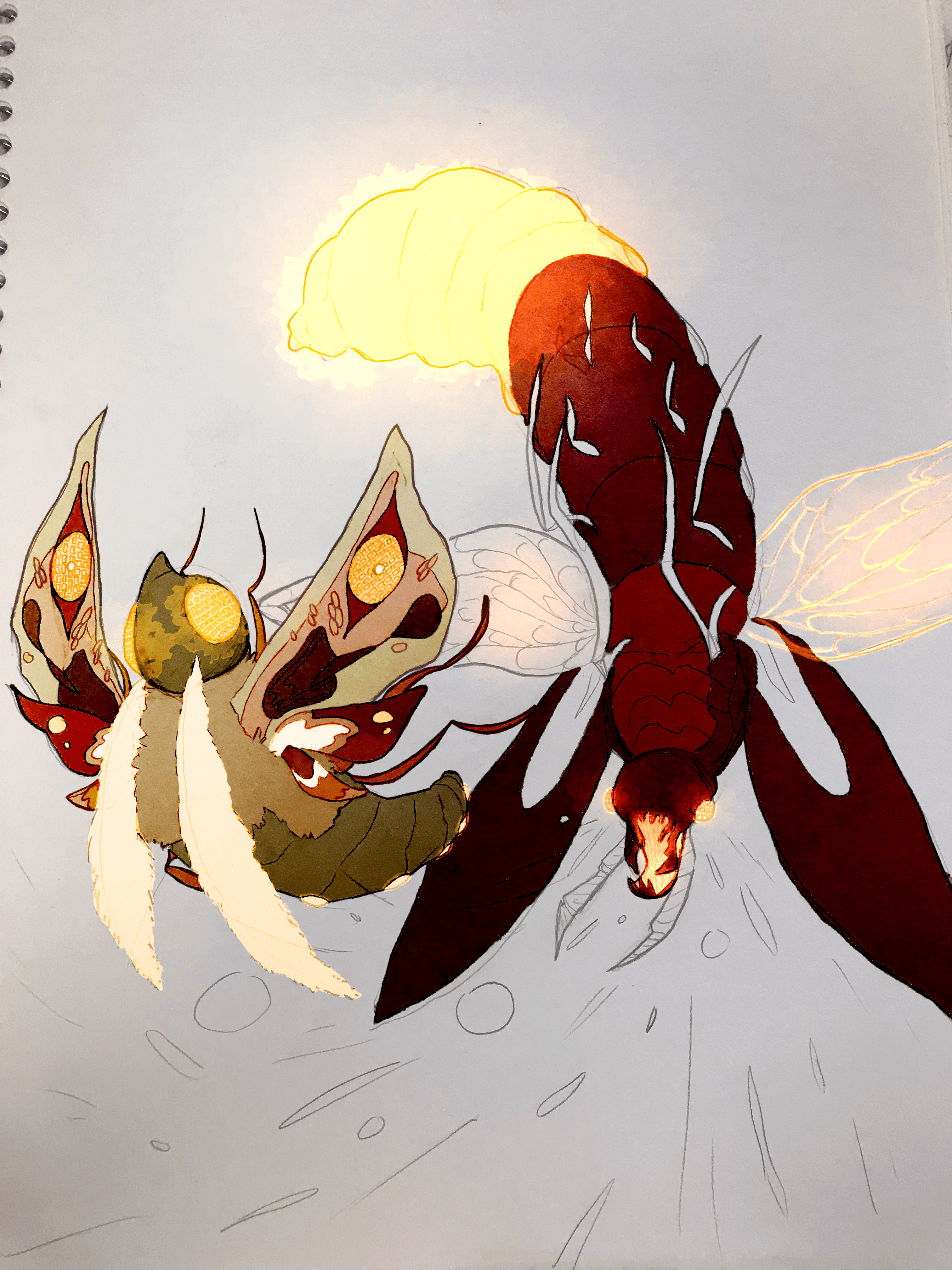 Xanycki's art.